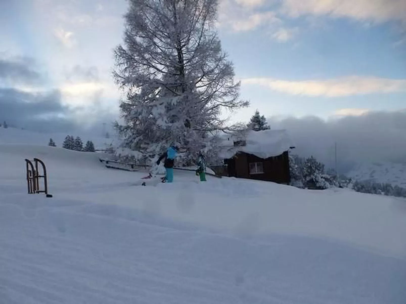 Oberguet-Image-tags.info