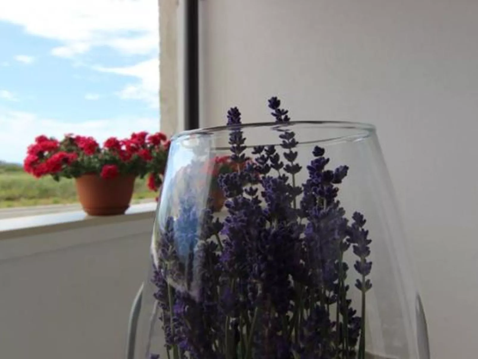 Wohnung Lila - von TA Leut Agency-Binnen