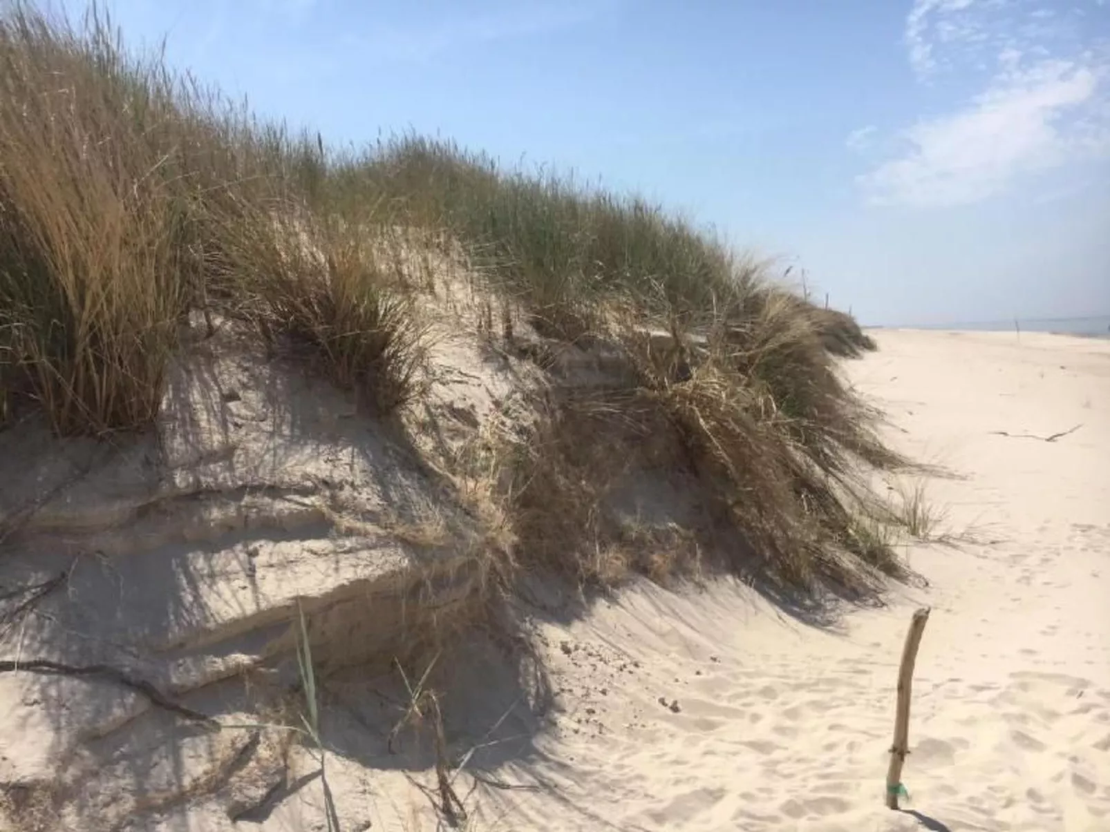 Studio-Wohnung "Apartment 16B" mit Schwimmbad-Buiten