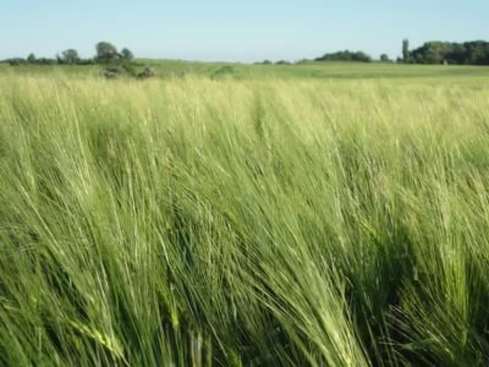 Bauernhaus auf Rügen-Image-tags.info