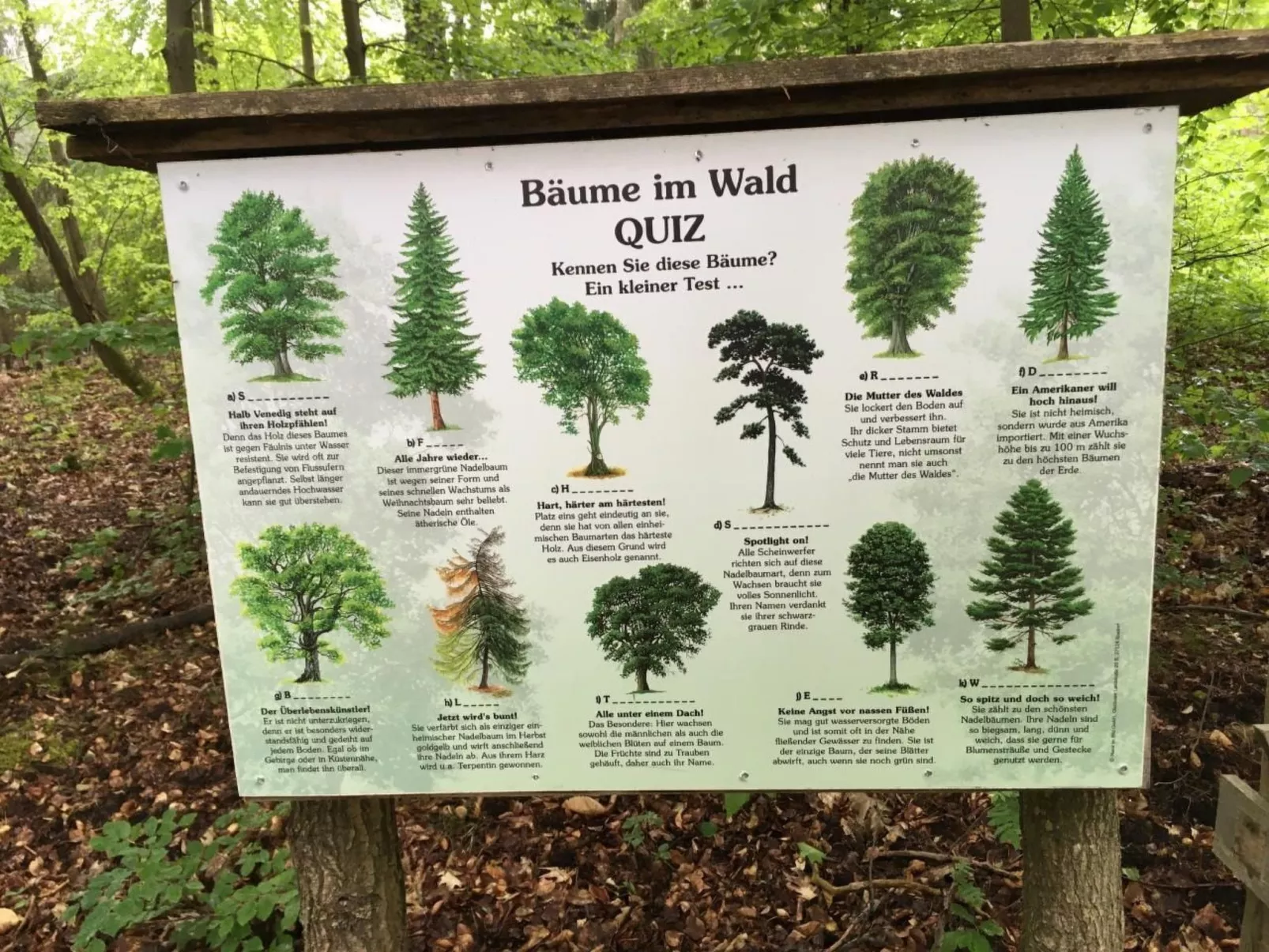 Bungalow Mecklenburgische Seenplatte-Buiten