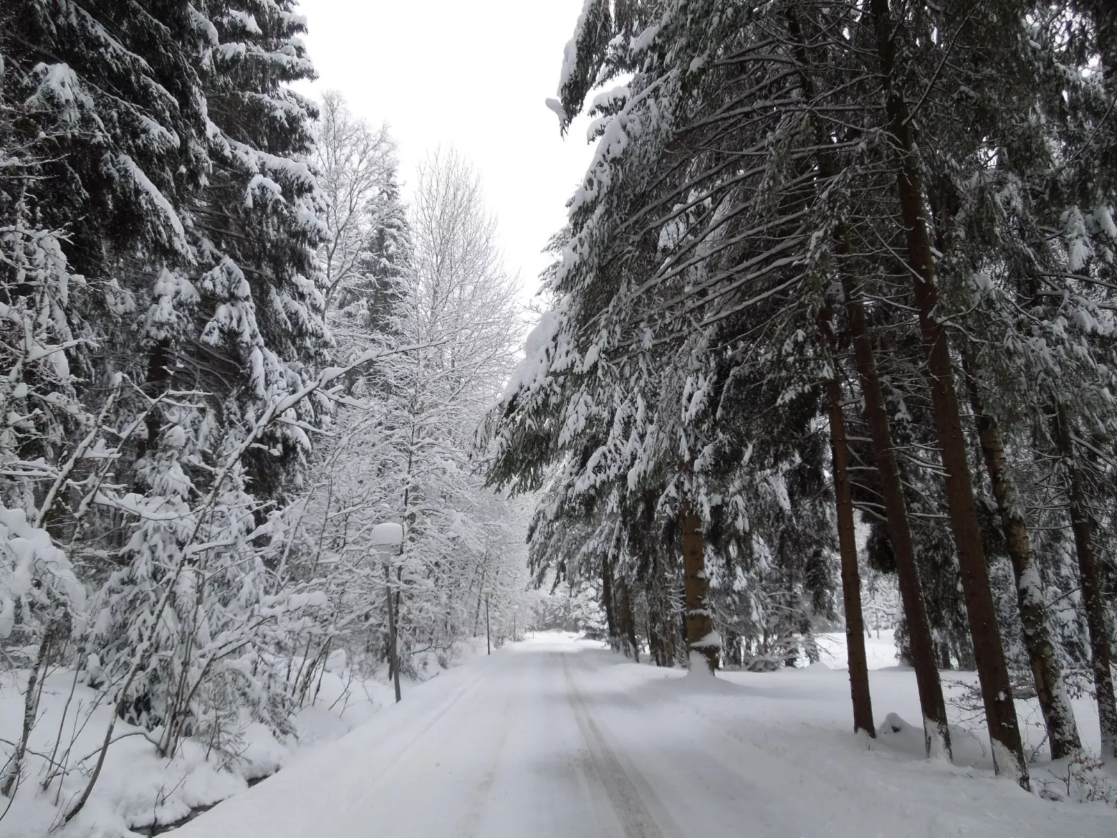 Blockhaus Bodefall-Buiten