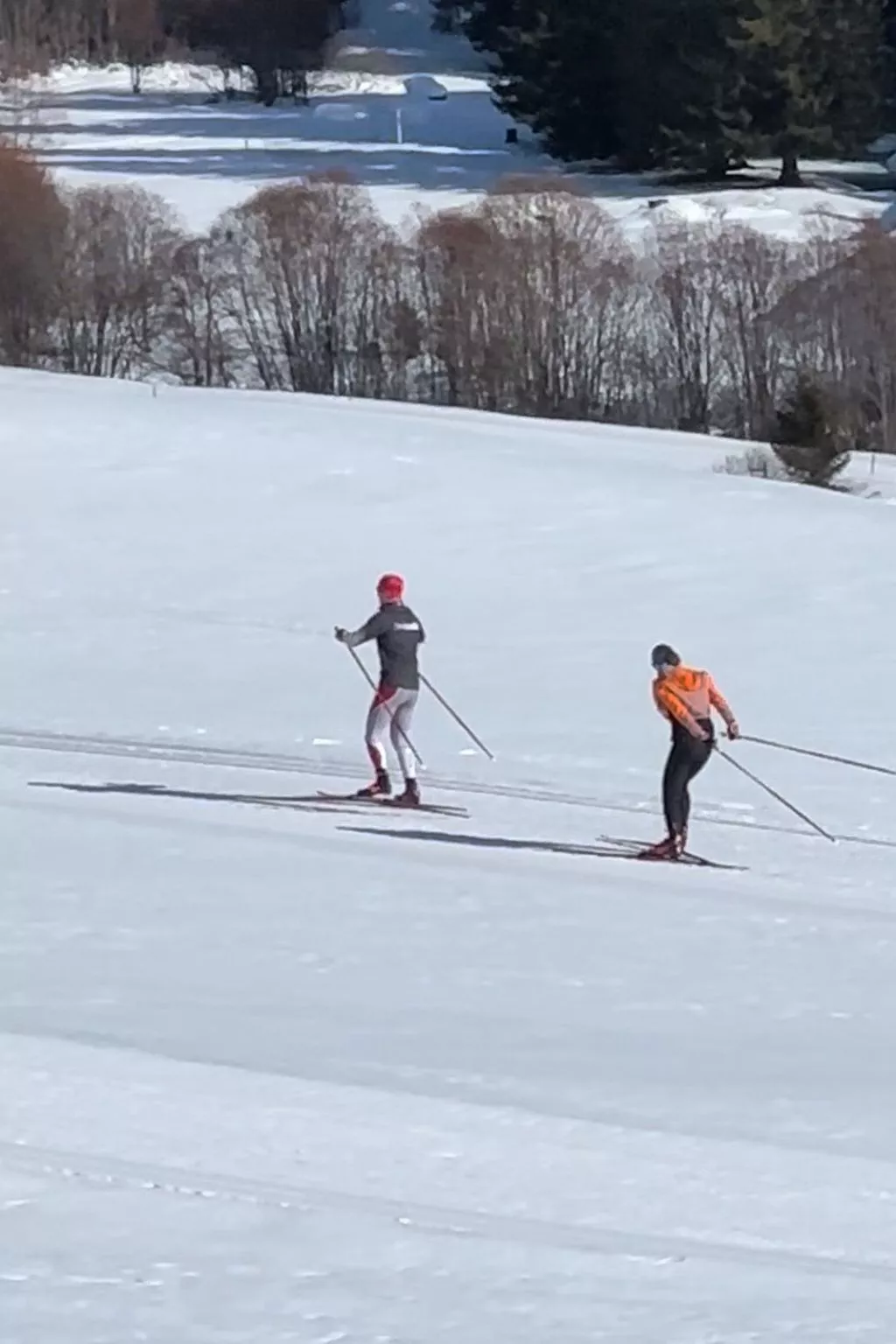 Blue Alpine Lodge-Image-tags.info