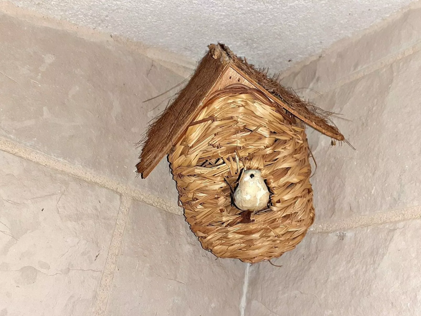 Mit Blick auf das Wasser - Image-tags.info