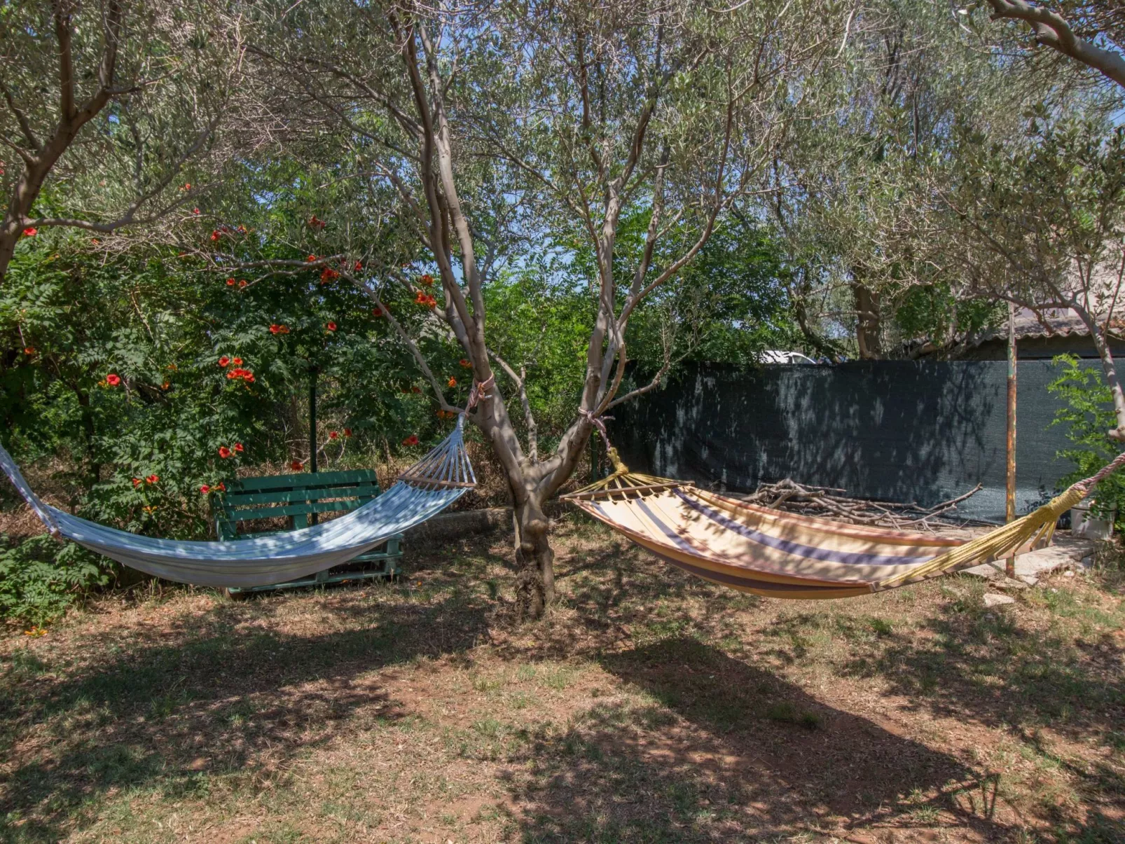 Wohnung Casa Nada 01 - von TA Leut Agency-Image-tags.info