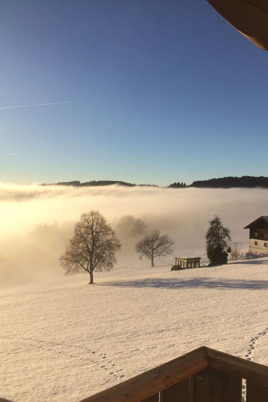 Im Bayerischen Wald inkl. aktivCard-Buiten