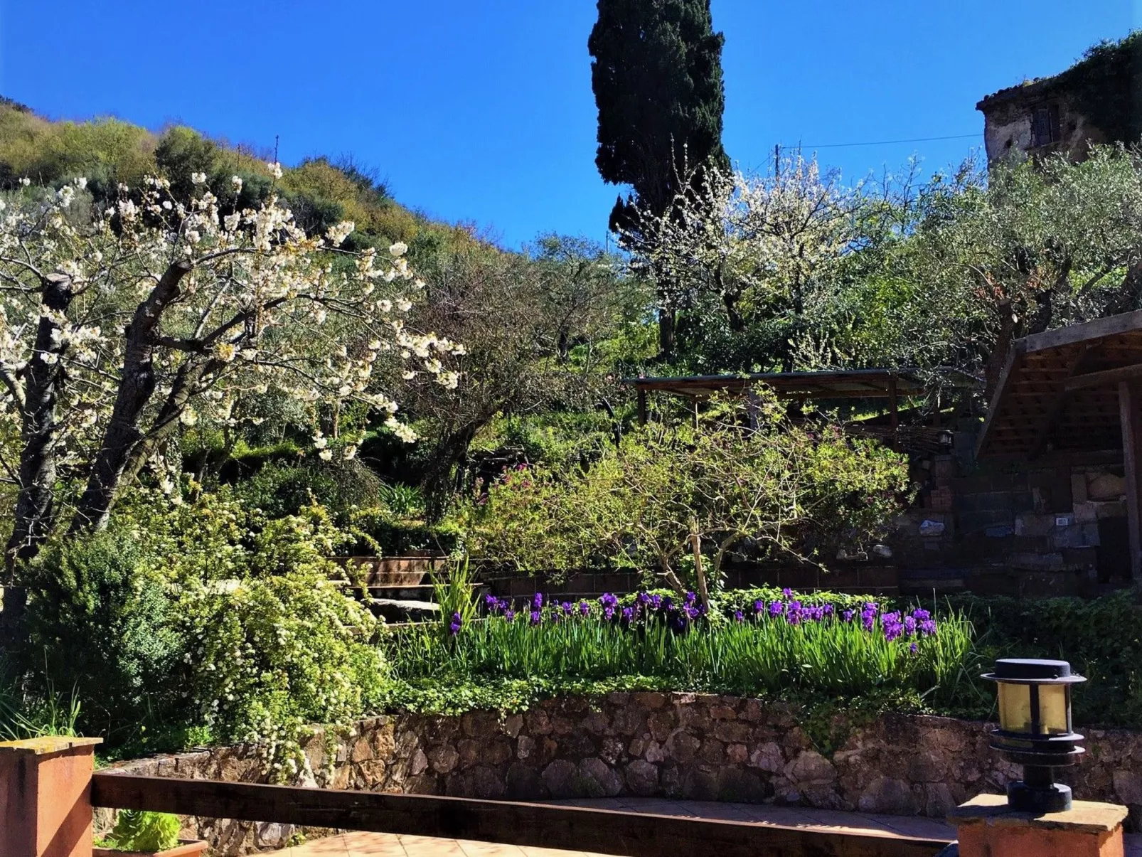 Granatapfel-Wohnung-Buiten