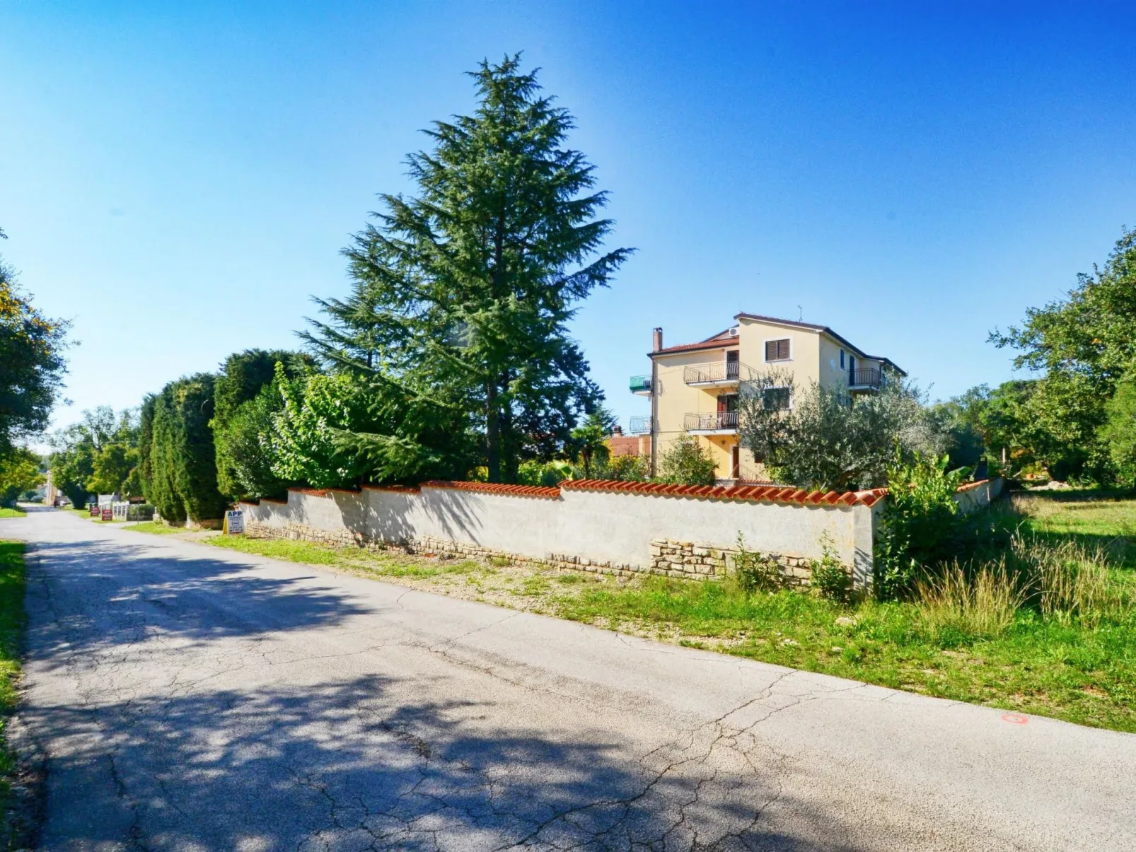 ALBINA STUDIO 5 - Image-tags.info