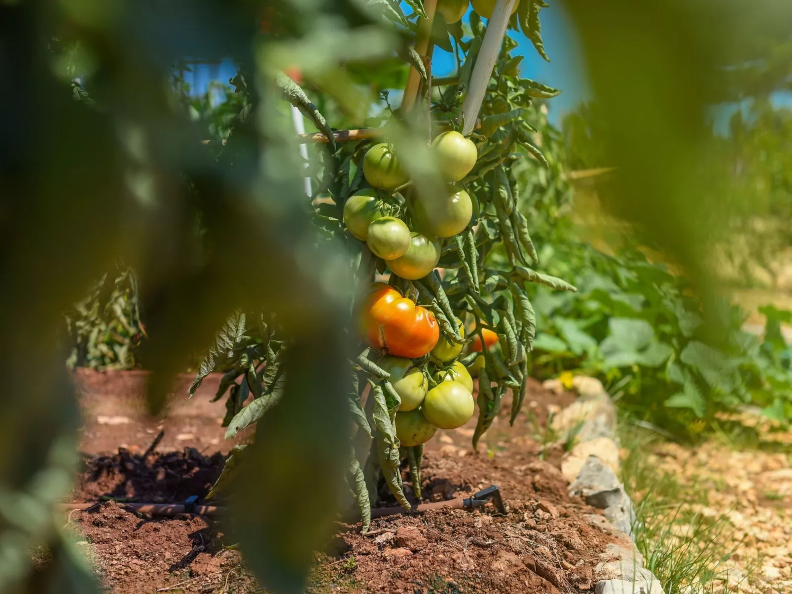 Mobilheim direkt am Strand-Buiten