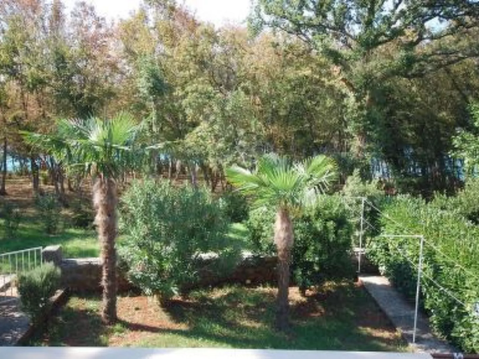 Wohnung "Villa Karmen" direkt am Strand-Buiten