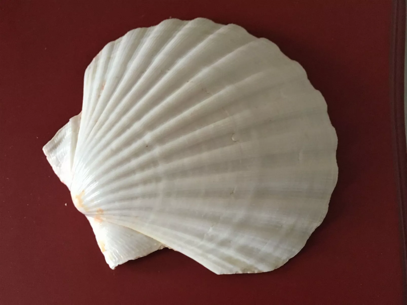 Fischerhus LüttHauke-Binnen