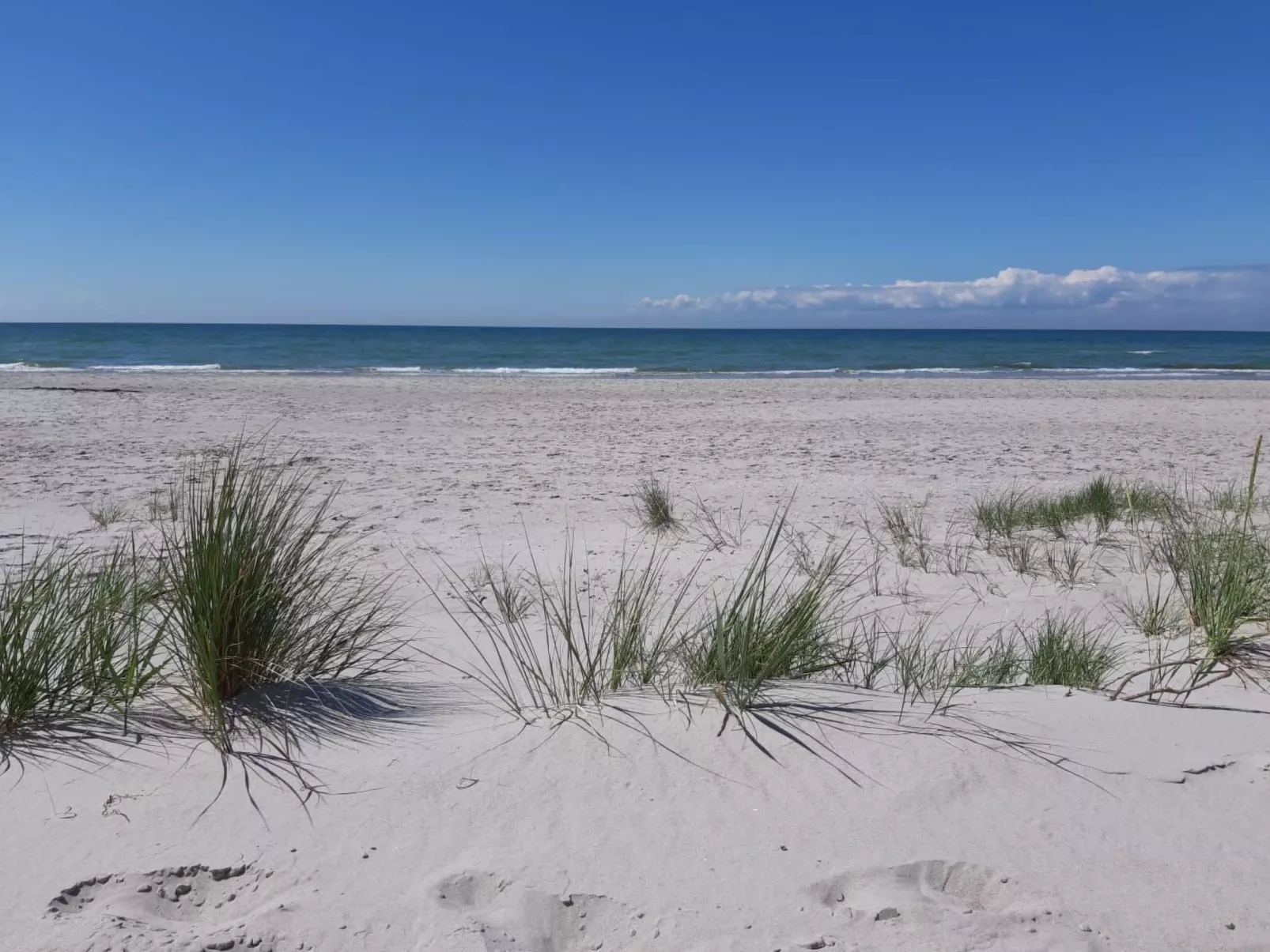 Admiral's Corner Luv-Image-tags.info