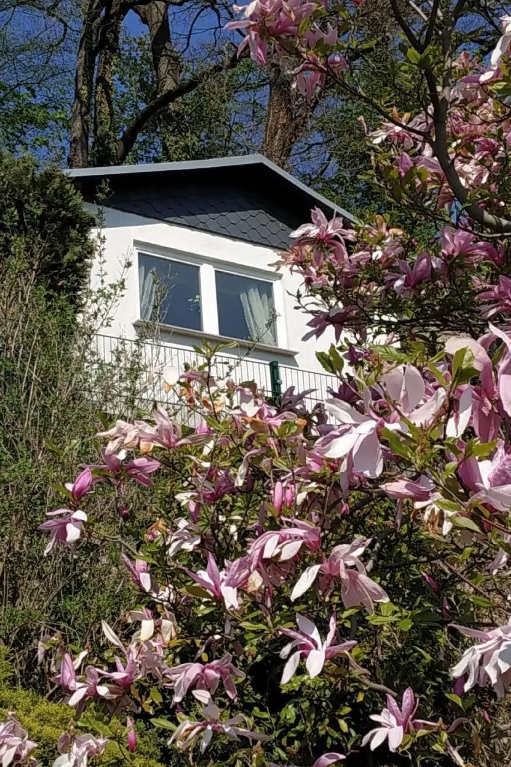 In Pirna mit Schöner Terrasse-Buiten