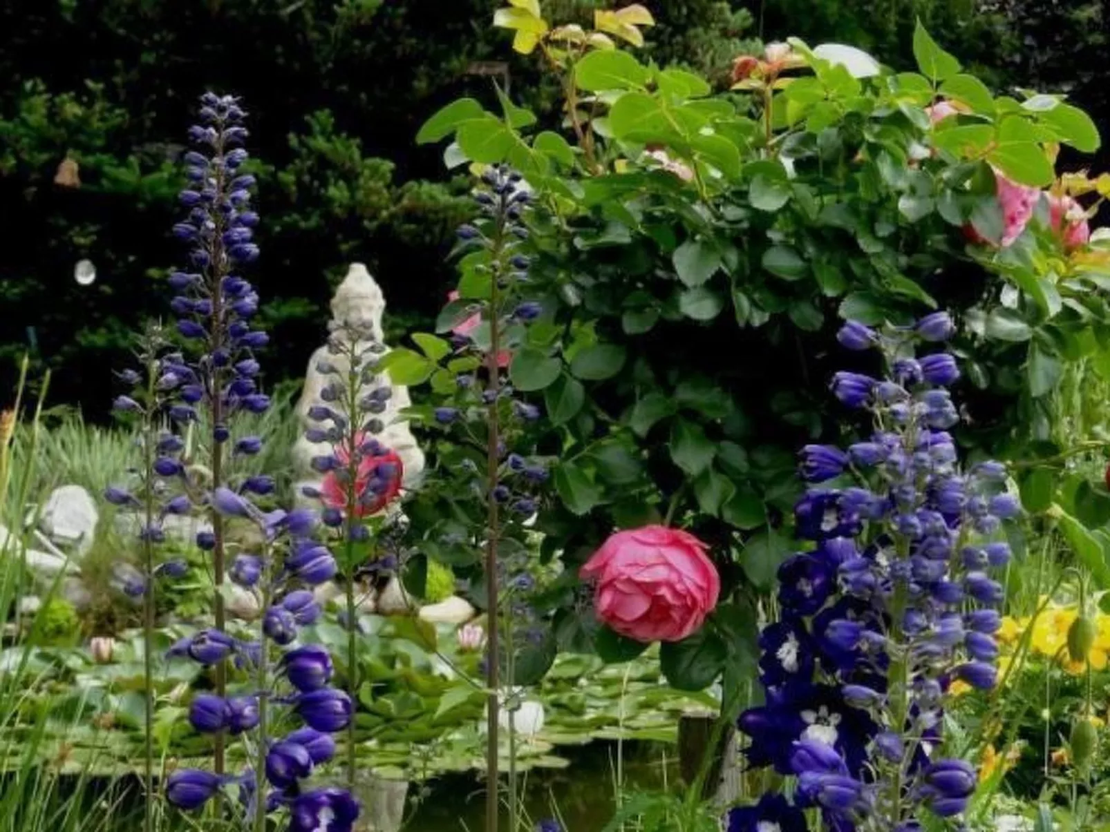 Nette Wohnung in Seeboden mit Großem Garten - Buiten