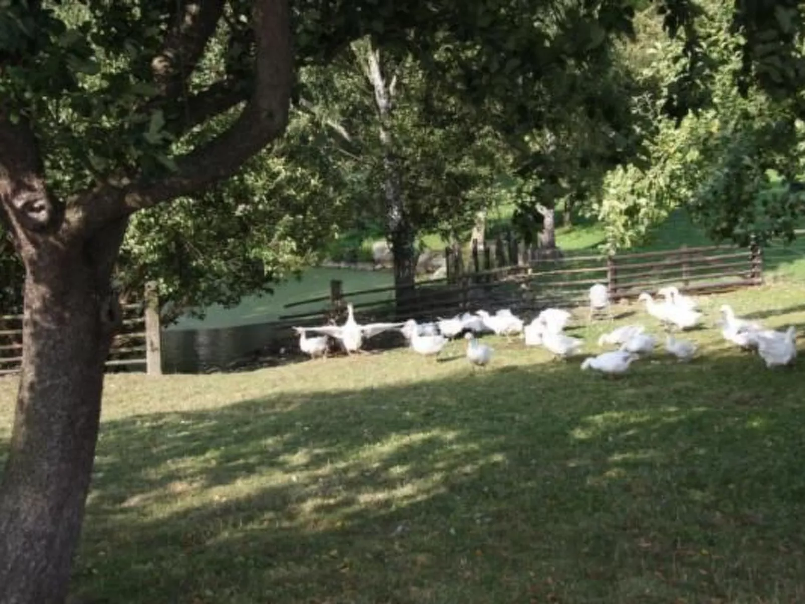 In Groß Schwansee mit Offenem Kamin-Buiten