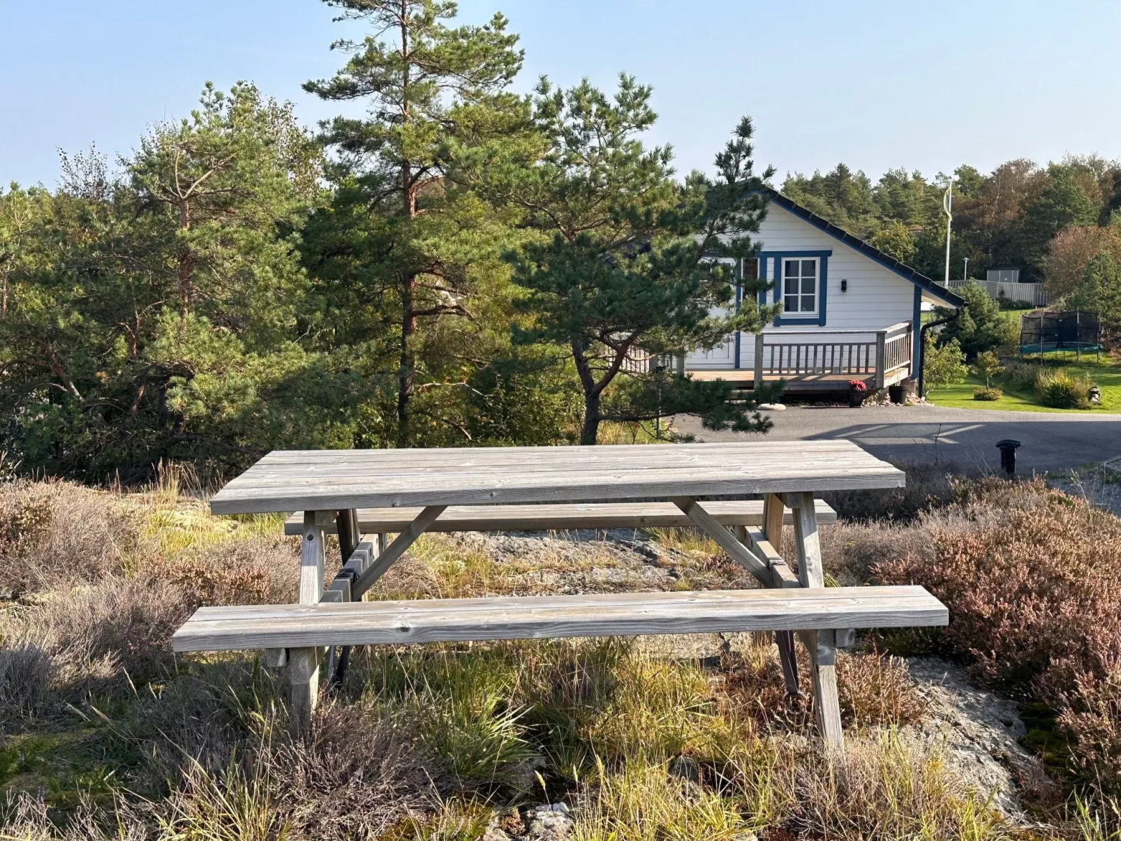 Sea Breeze-Image-tags.info