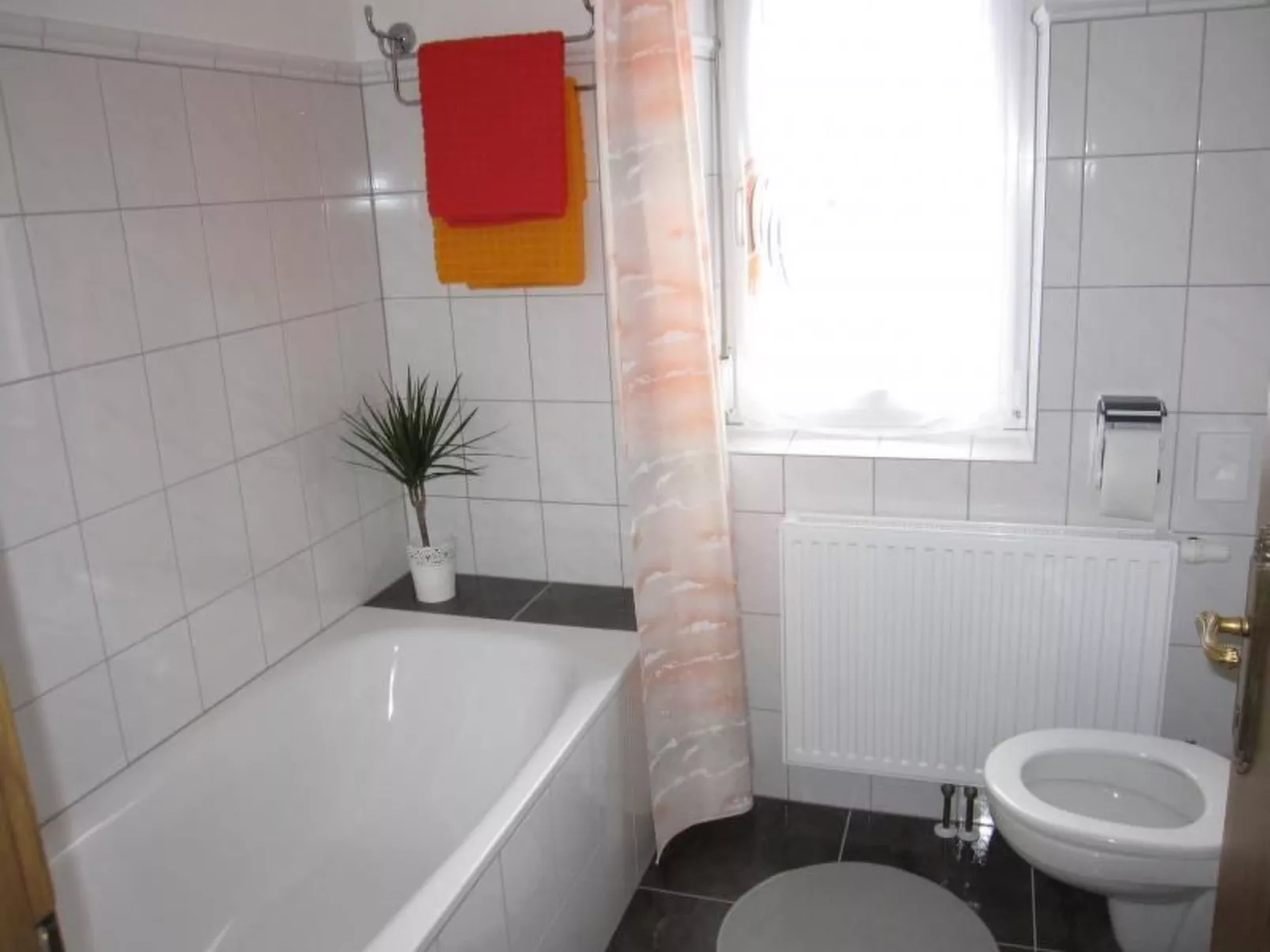 Rosa in Umhausen-Binnen