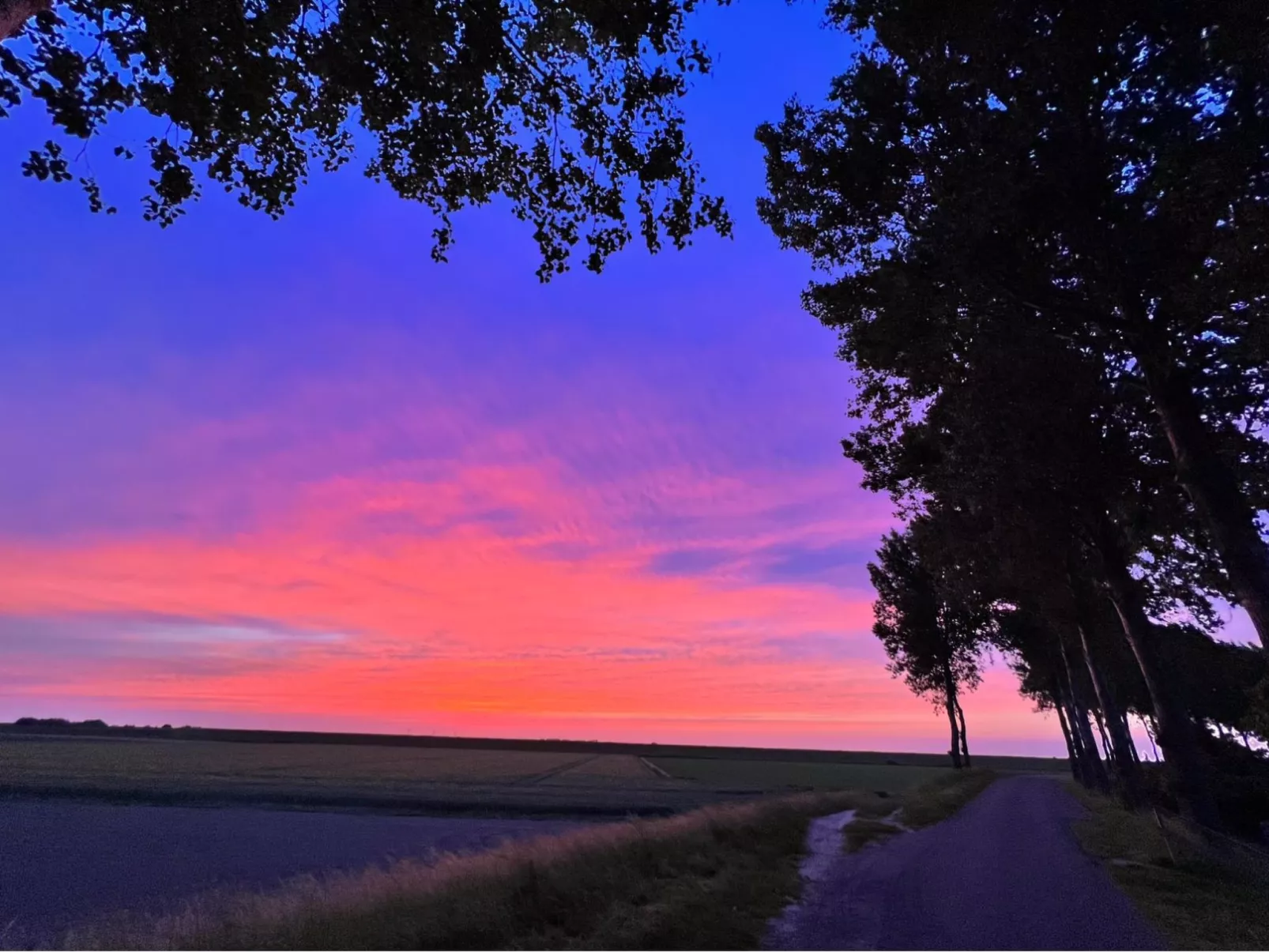 In Stavenisse mit gemütlicher Terrasse-Buiten