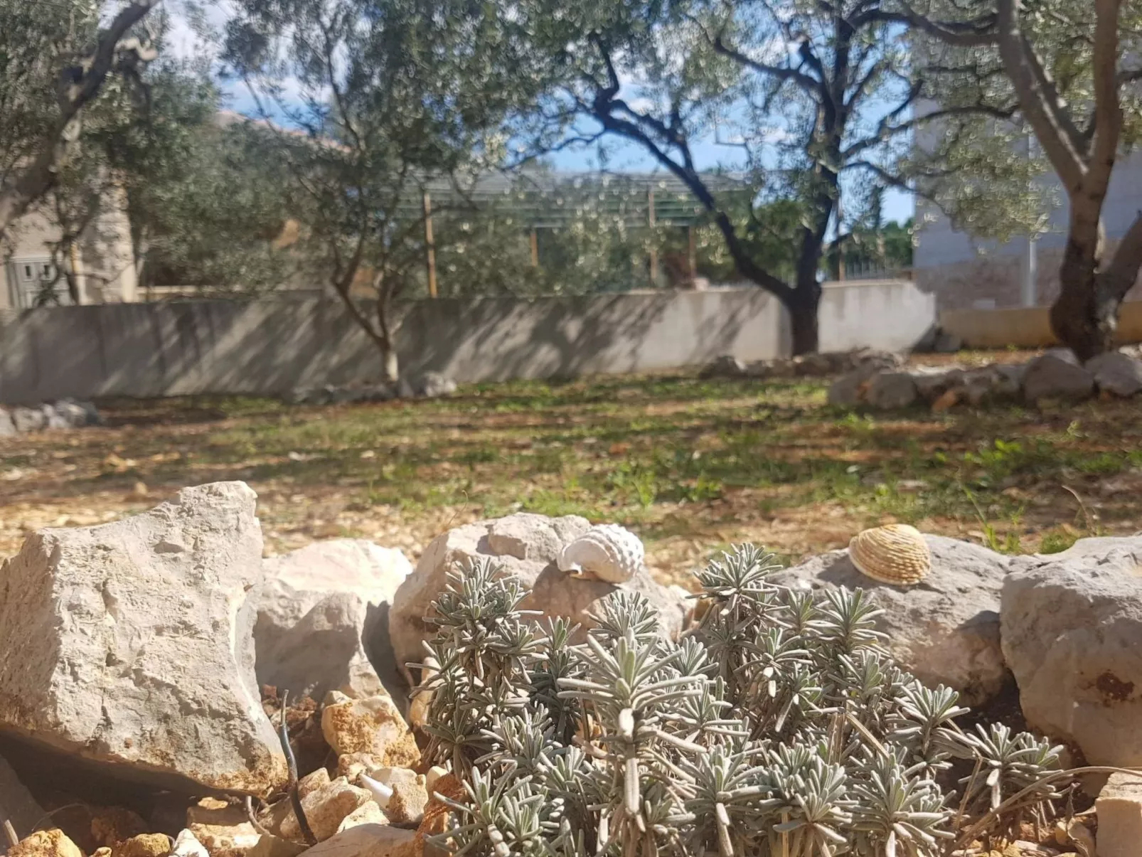 Mit Blick auf das Wasser-Image-tags.info