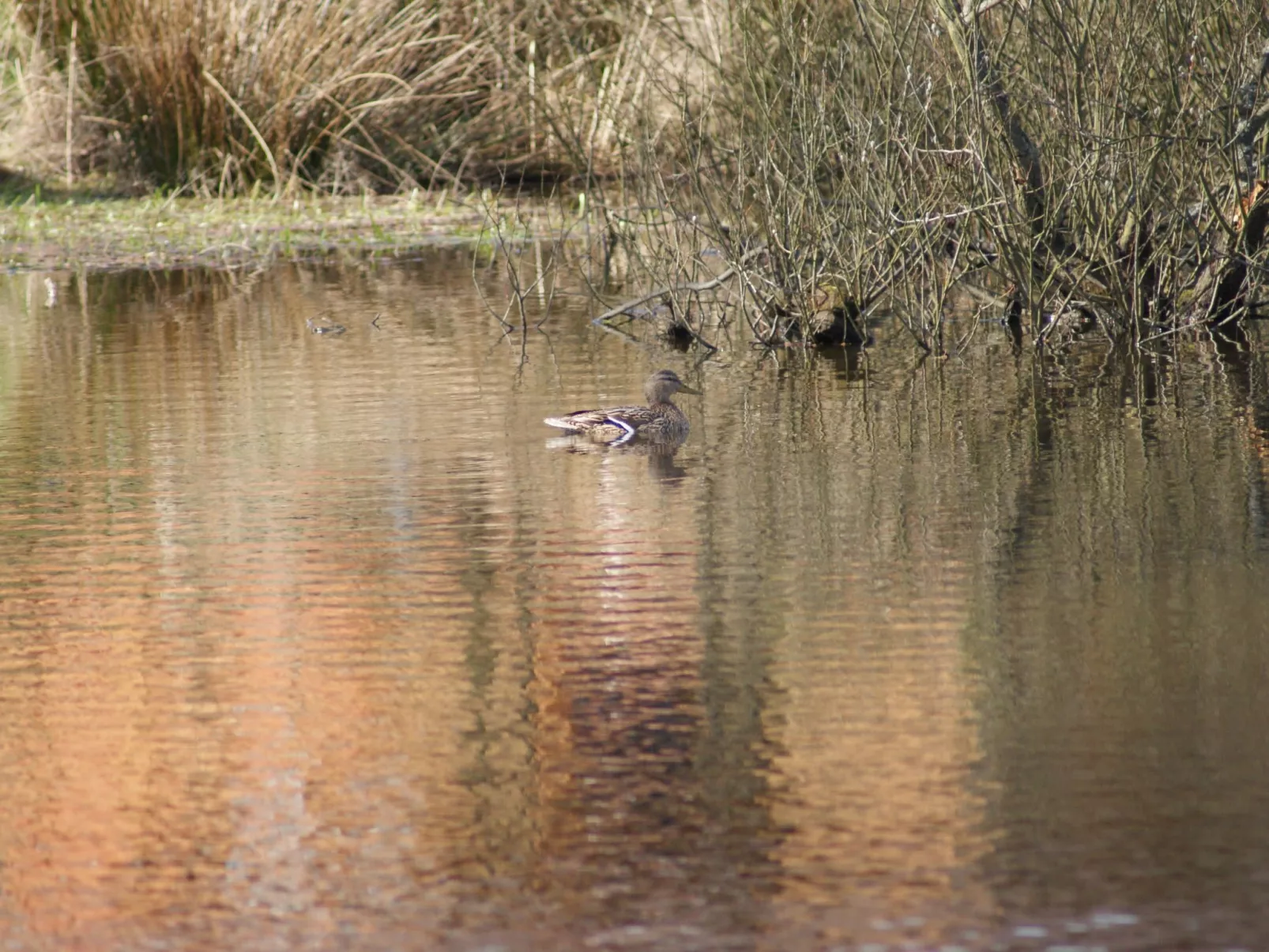 Meer, Landschaft, Stille - Ferienhäuser in den Gärten von Magra-Image-tags.info