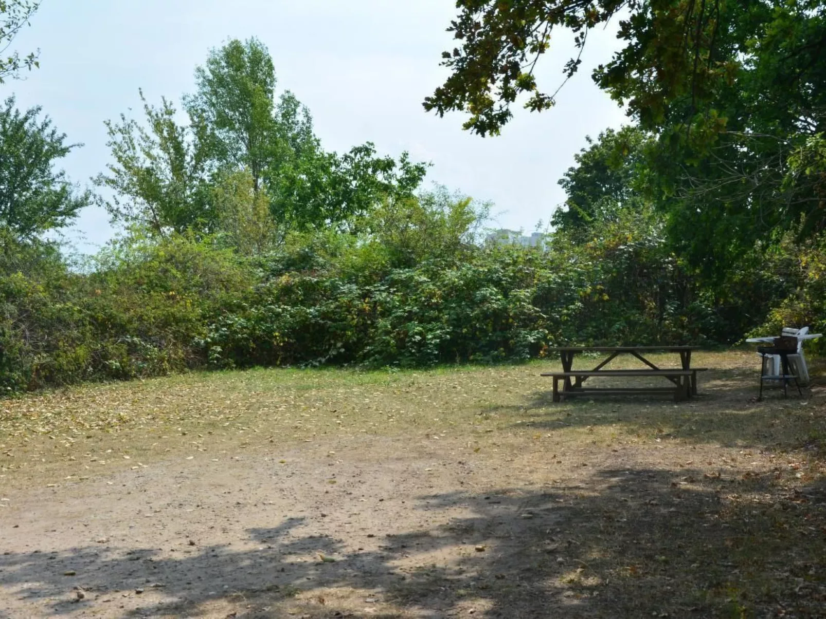 Kunstsammler-Image-tags.info