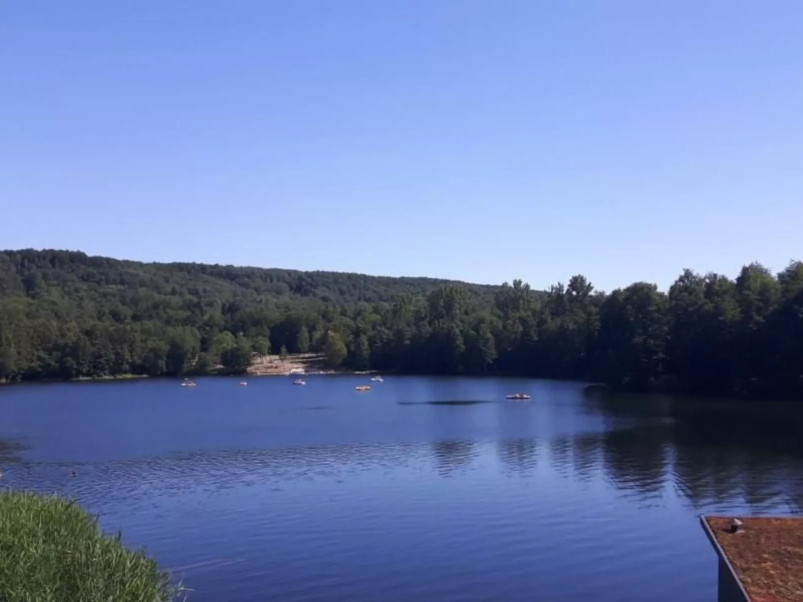 Haus Wellness - Image-tags.info