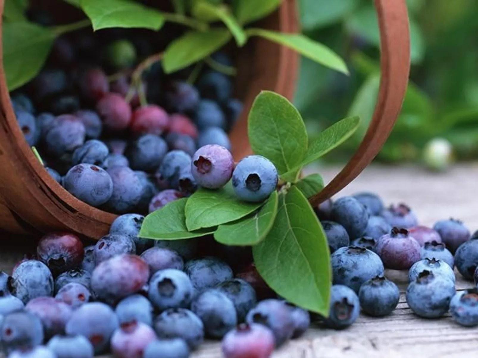 In Drag mit Möblierter Terrasse-Image-tags.info