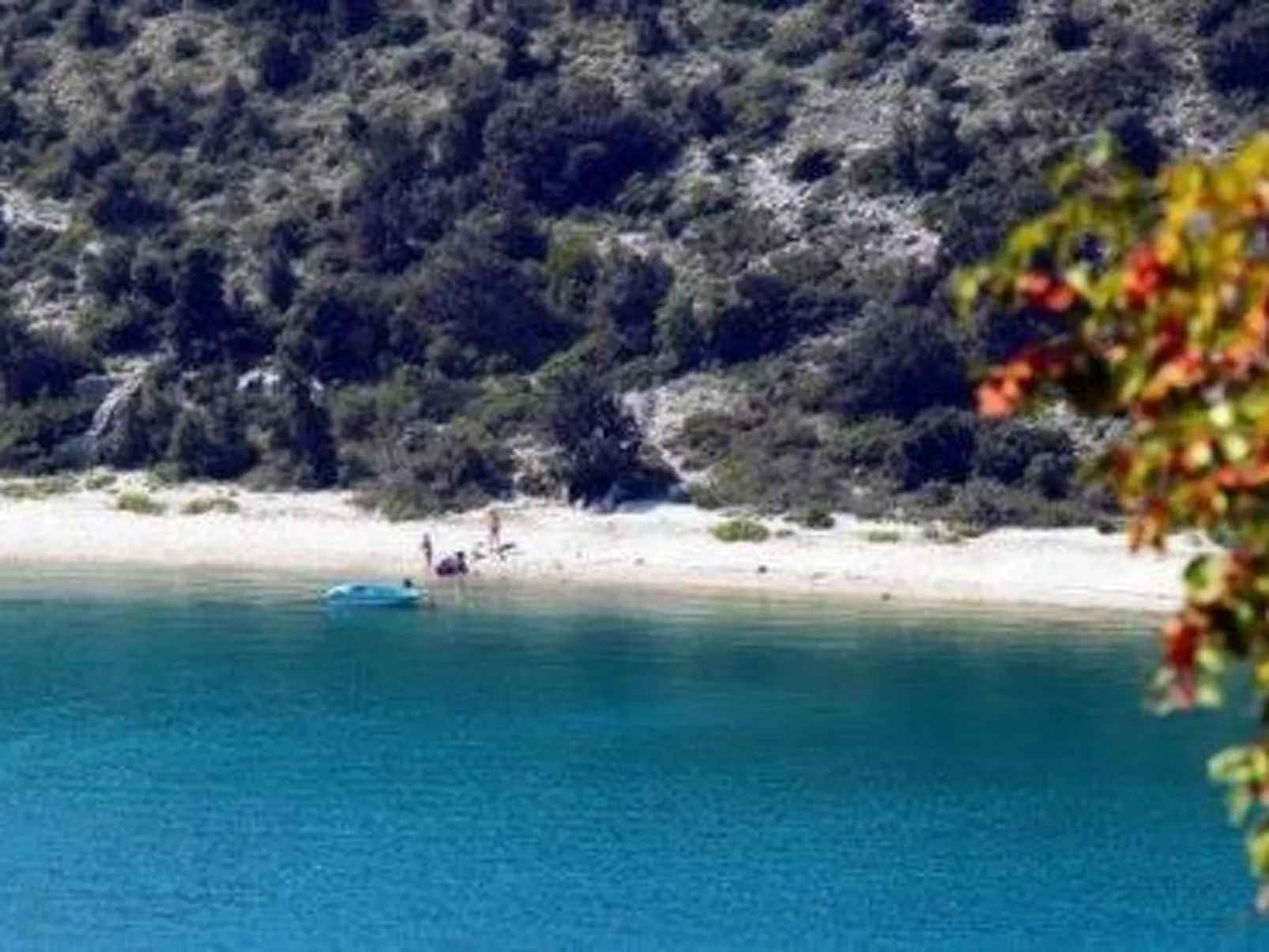 "Vickovi" mit Gemeinschaftspool-Image-tags.info