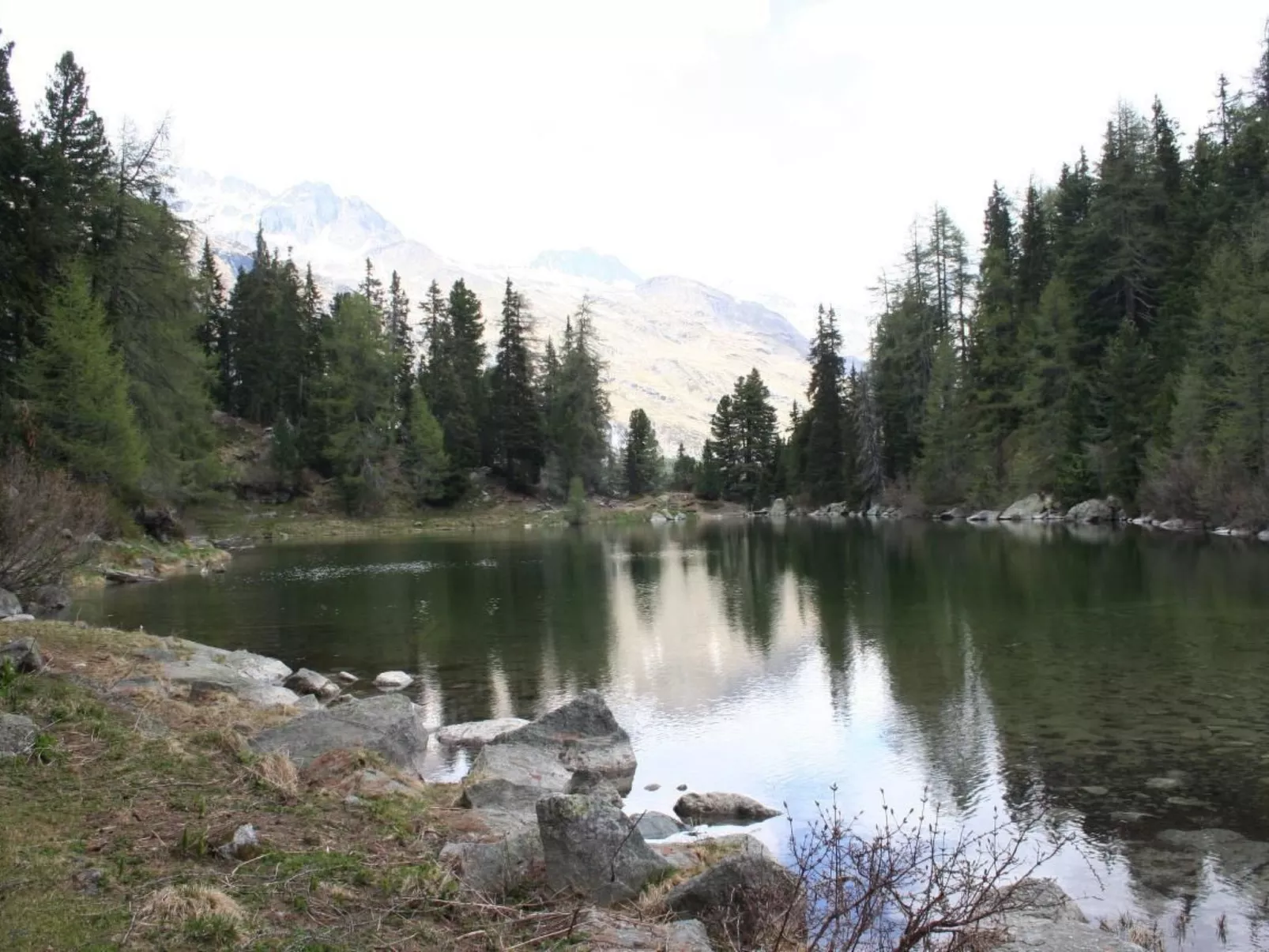 Chesa Arettas-Image-tags.info