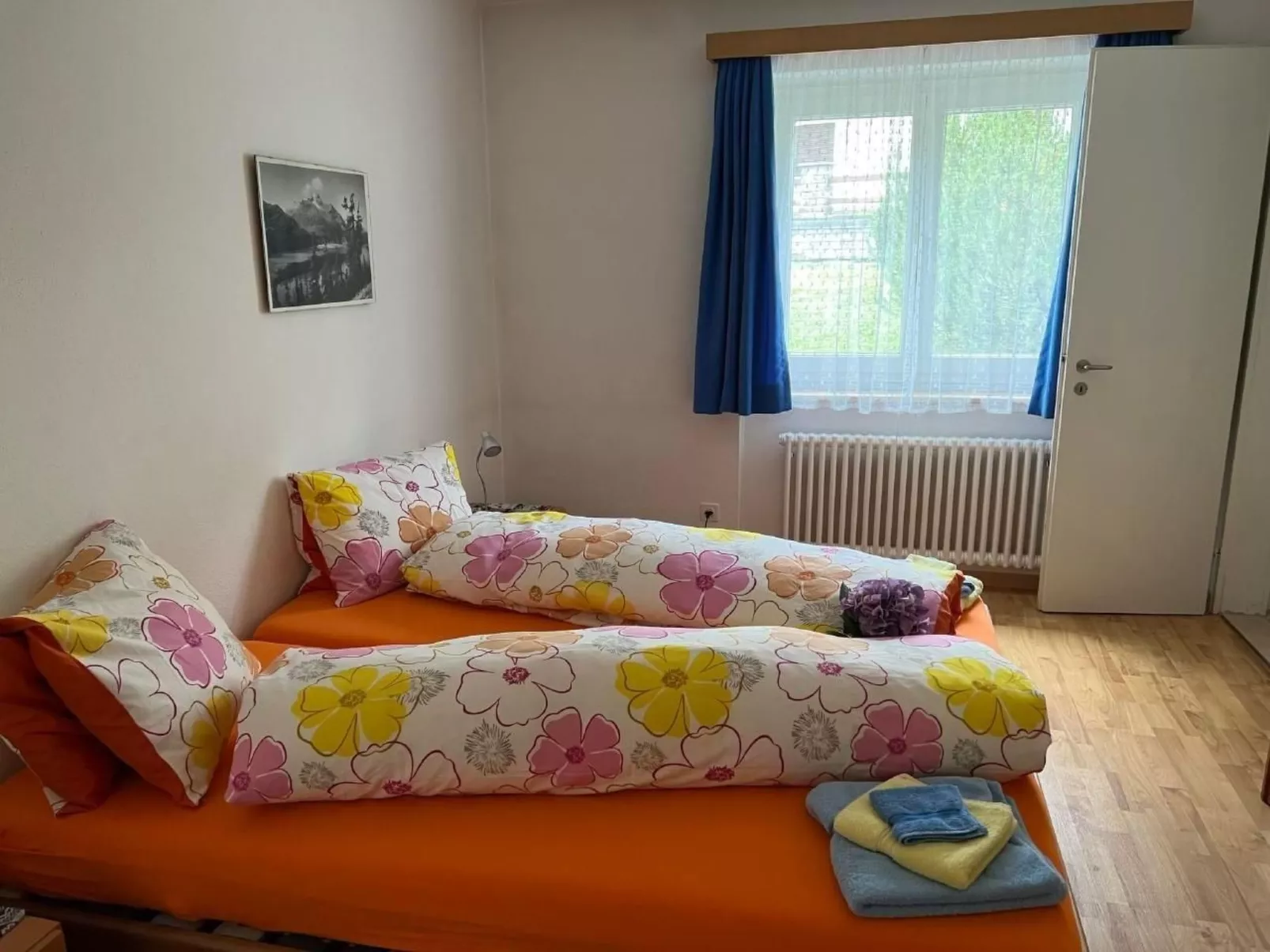 Carina 7-Image-tags.info