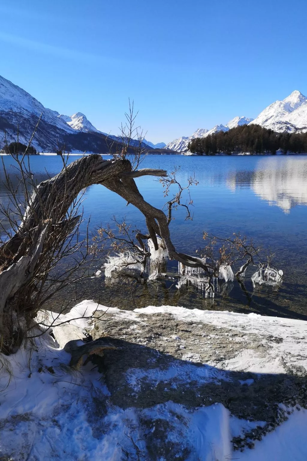 2,5 Bettwohnung-Image-tags.info