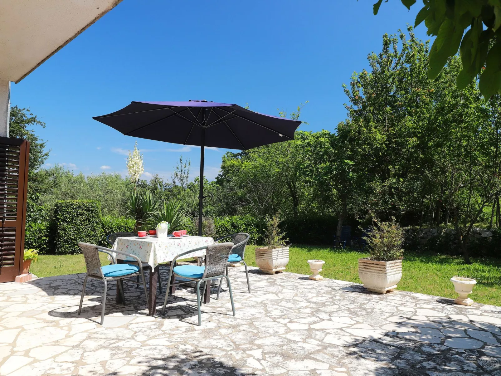 Svoboda 2-Image-tags.info