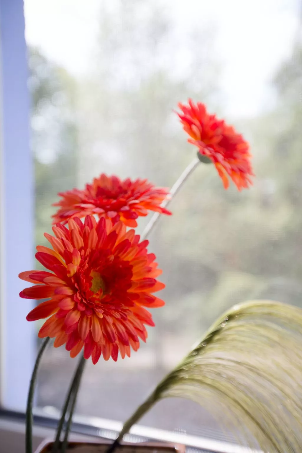  in Stadtrandlage mit guter Anbindung, sowie eigener Terrasse und Garten-Binnen