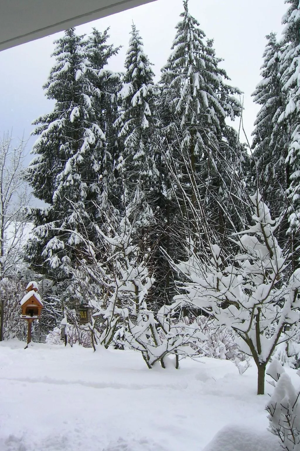 Harz-Haus-Bruns-Buiten