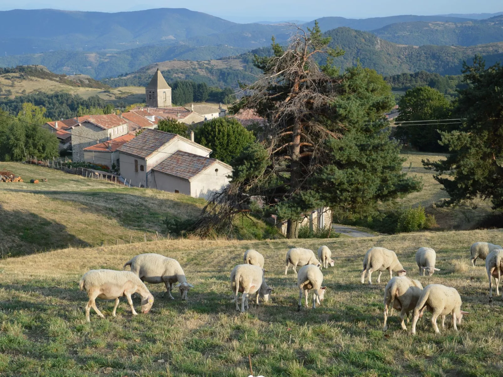Gîte de Chapelèche Les Genêts-Buiten