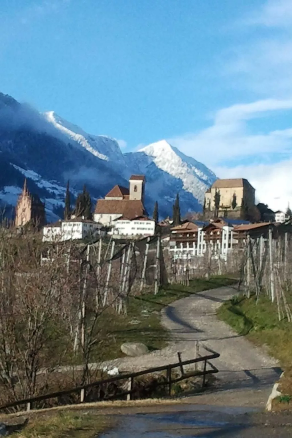 Appartement in Schenna mit Botanischem Garten-Buiten