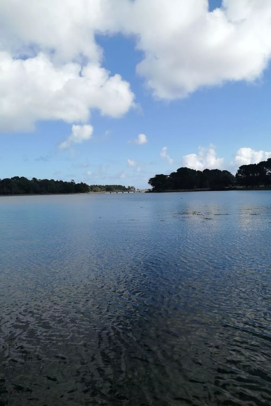 Bretagne Loctudy Haus Les Camélias 3 Personen-Image-tags.info