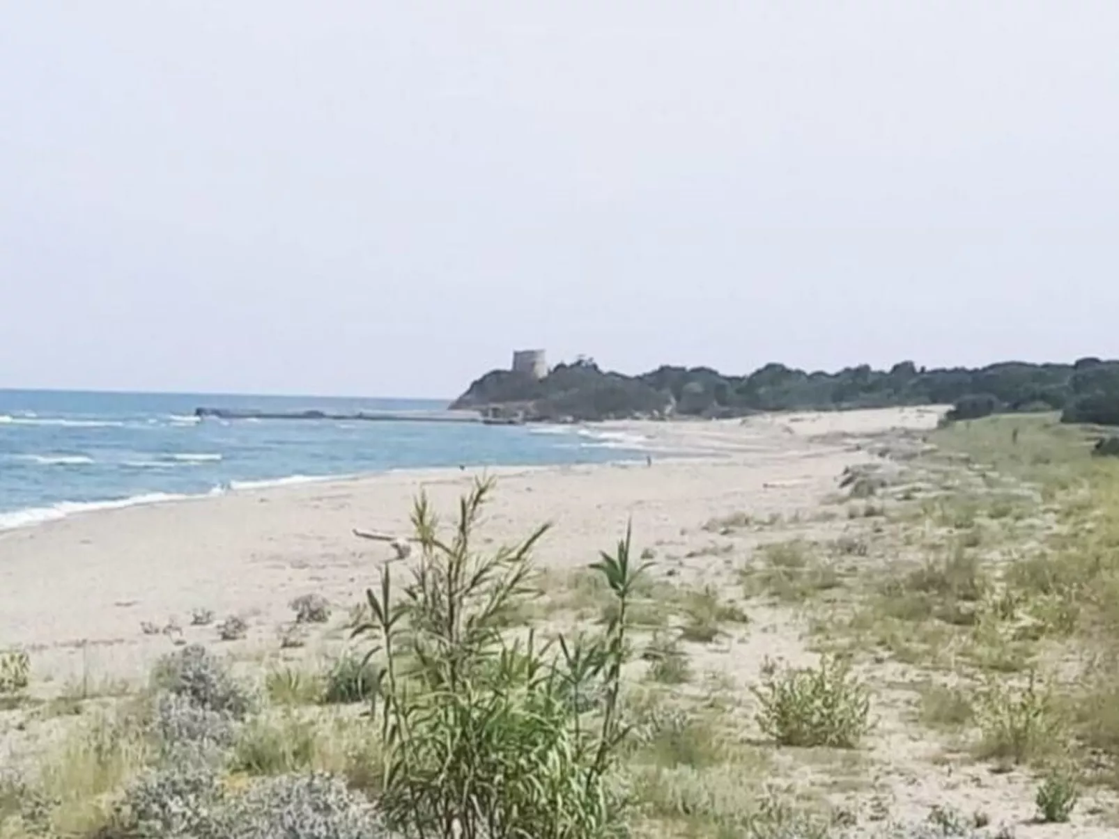 Wohnung "Authentisches korsisches Haus"-Image-tags.info