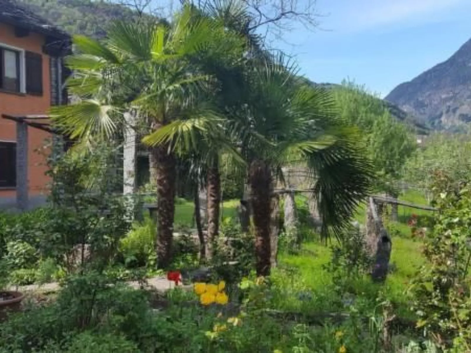 Casa Giardino Grande-Image-tags.info