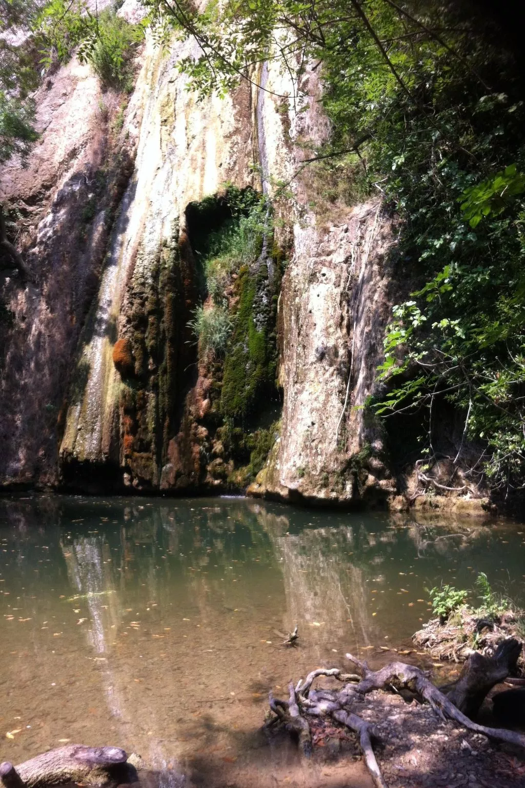 Le mas de l'Aven Unterkunft le mûrier-Buiten