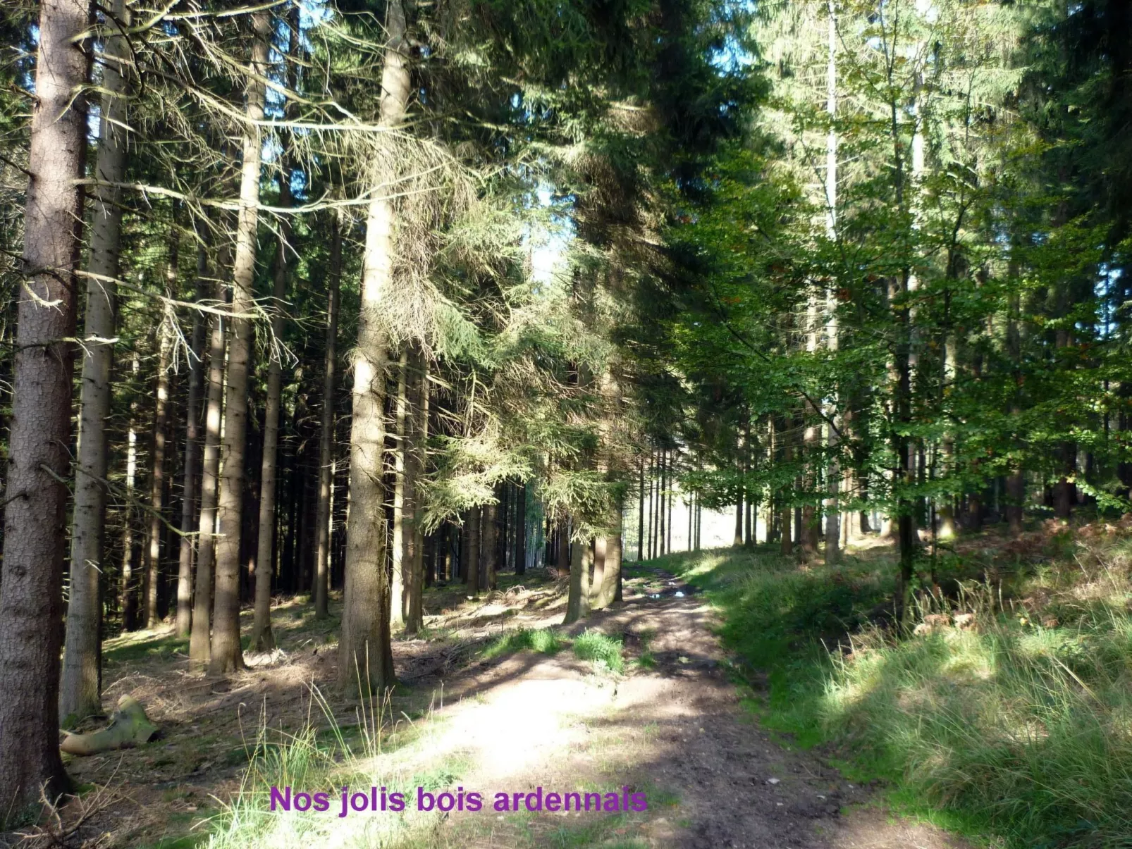 Ardennen Ferienhaus 5 Zimmer 5 Bad 14 Pers Zugang Chaisards-Buiten