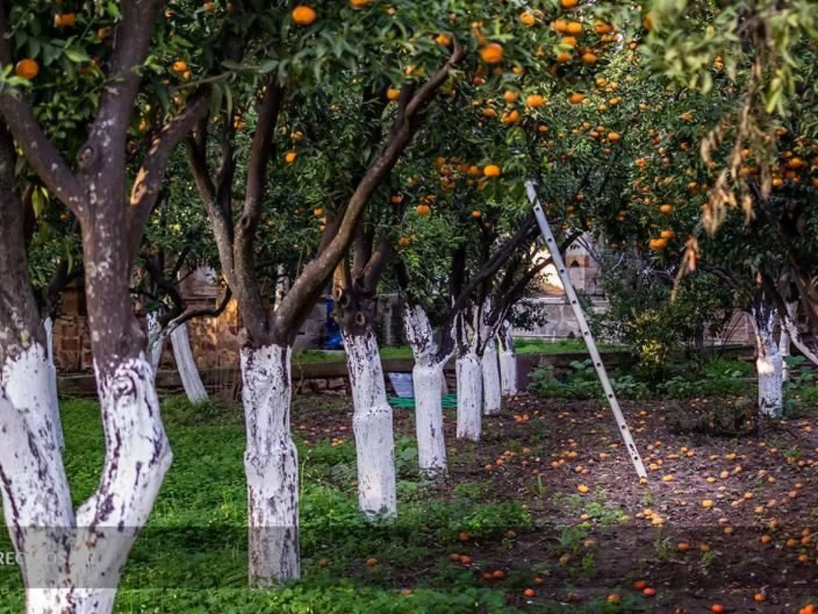 Charmante Villa mit Meerblick - 300m. vom Strand entfernt-Image-tags.info