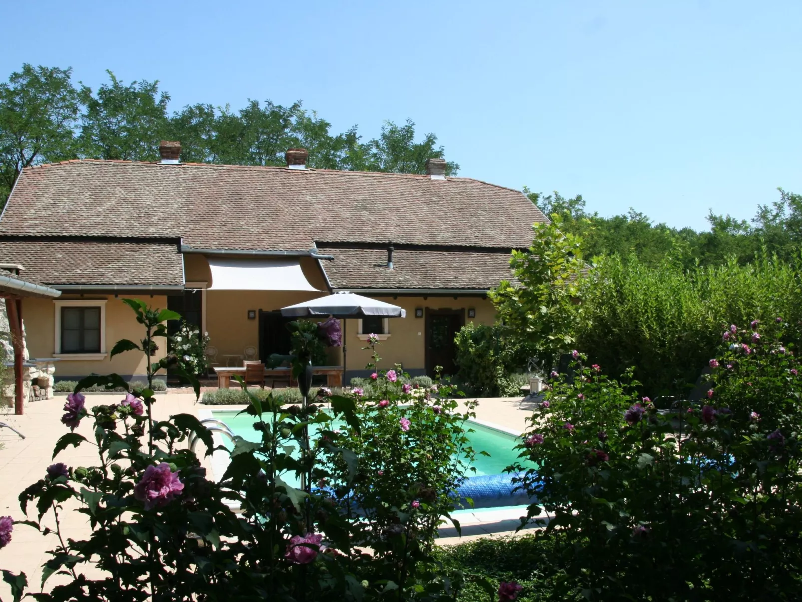 Hütte mit Garten, Grill und Terrasse-Buiten