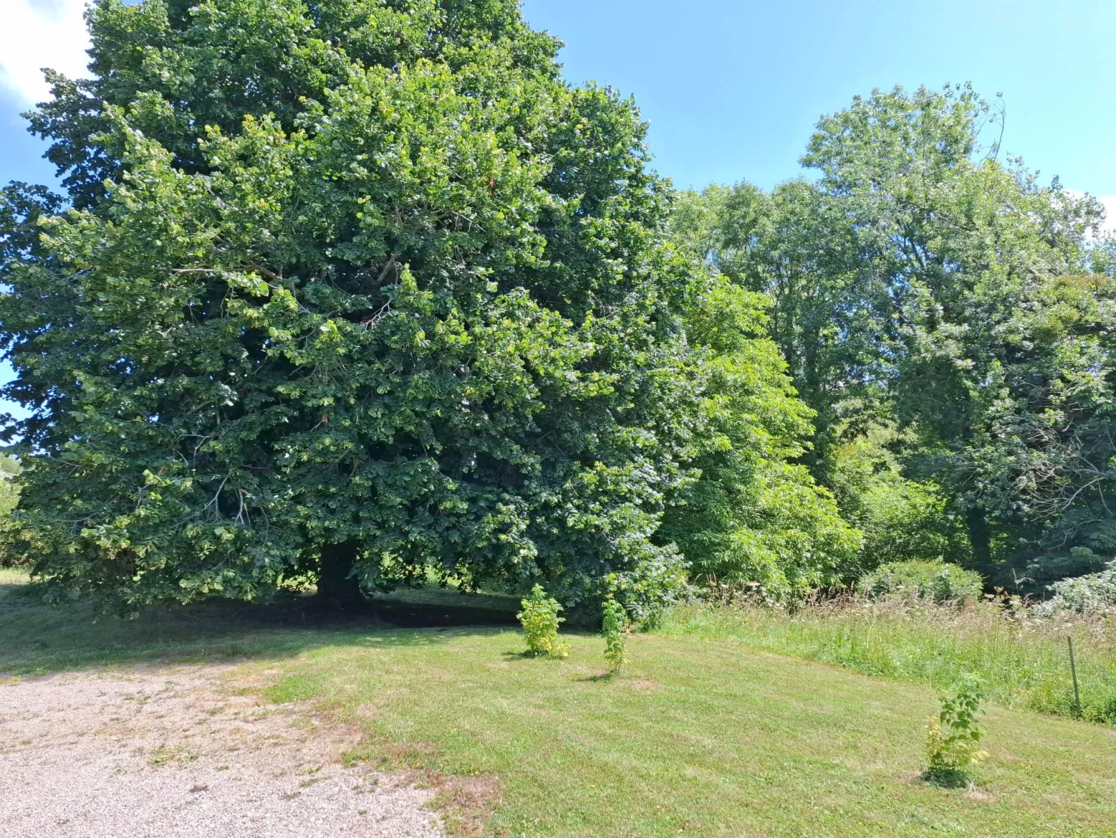 Le Bois aux Ecureuils (Eichhörnchenwald)-Buiten
