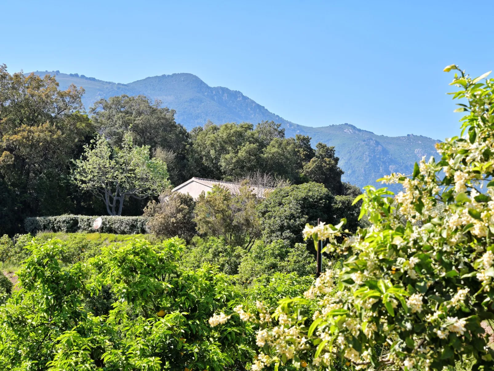 Weingut Punta della Guardia Ruhig und beschaulich-Buiten