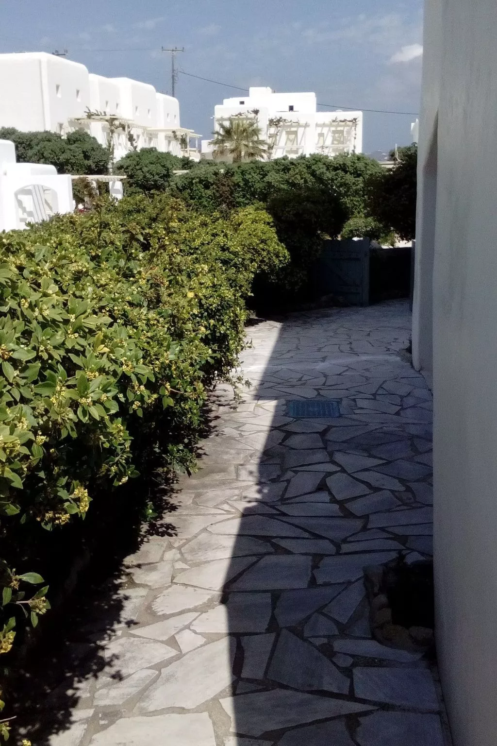 "Mykonian Aroma" mit Pool-Buiten