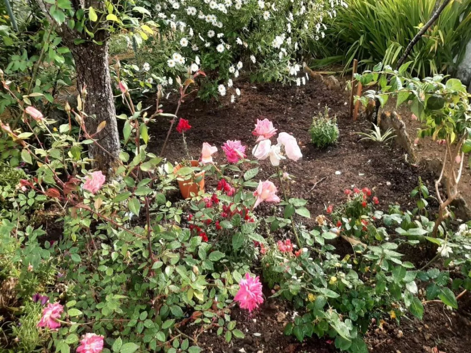 Historisches Haus in der Nähe des historischen Dorfes von Óbidos-Image-tags.info