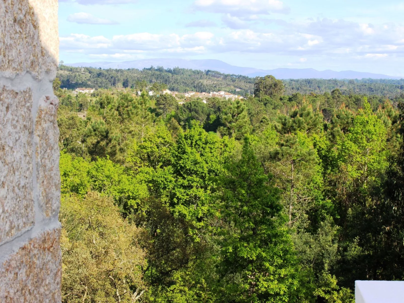Großes renoviertes Landhaus in Tondela-Image-tags.info