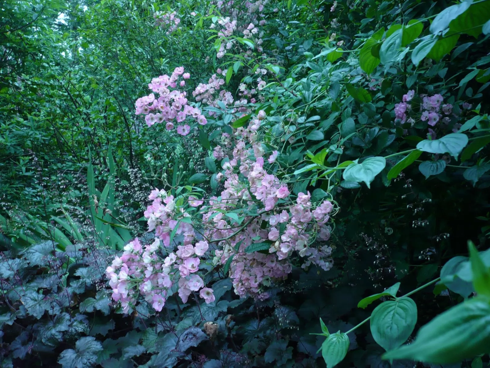 Haus freistehend Sonne Bett 160cm Patio billig-Binnen