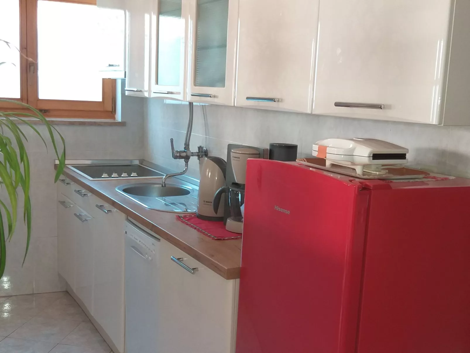 Studio Oliva ****-Image-tags.info